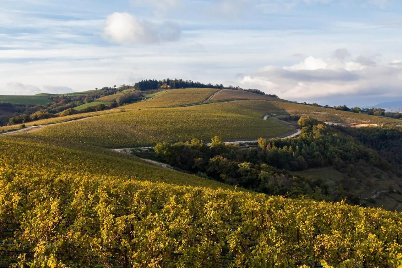 Hotel Ca' Del Moro Wine Retreat Grezzana Italia